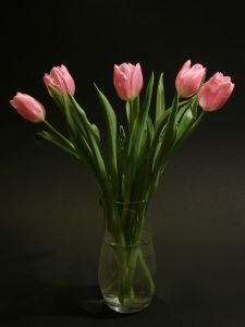 tulipany w bukiecie
